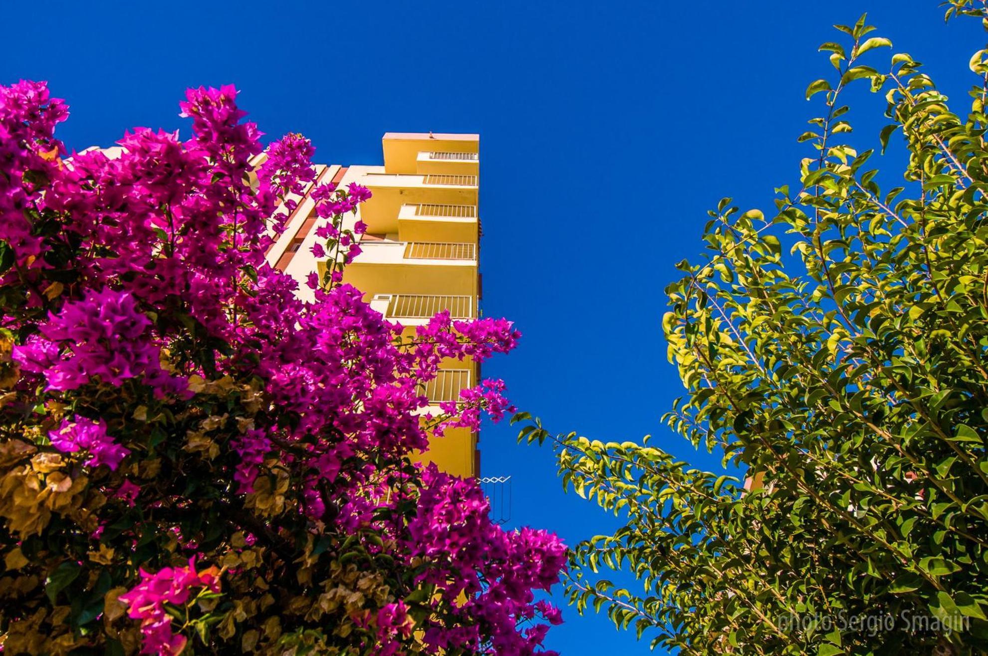 908 Minerva Apartamentos - Vistas Al Mar - Piscina Y Playa Benalmádena Eksteriør billede