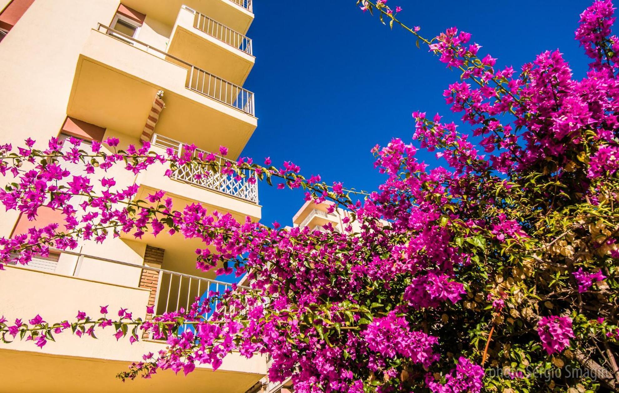908 Minerva Apartamentos - Vistas Al Mar - Piscina Y Playa Benalmádena Eksteriør billede